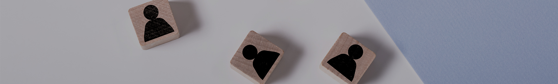 ȸ������